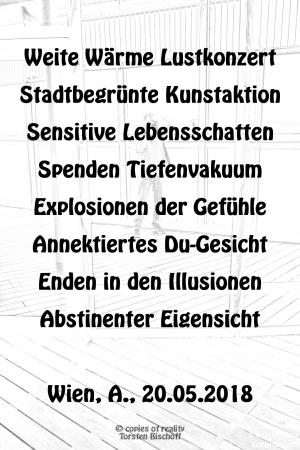 Vorschau Bildgedicht: Illusionen?