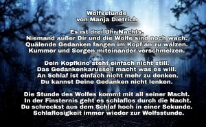 Vorschau Bildgedicht: Wolfsstunde 