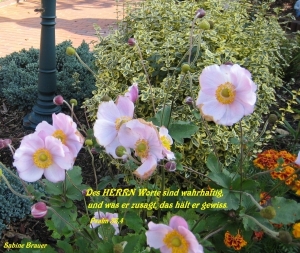 Vorschau Bildgedicht: Des HERRN Worte