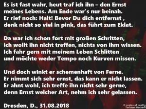 Vorschau Bildgedicht: Ernst