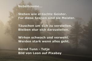 Vorschau Bildgedicht: Nebelbäume...