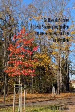 Vorschau Bildgedicht: Herbstspaziergang
