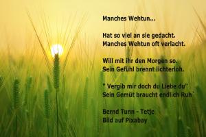 Vorschau Bildgedicht: Manches Wehtun...