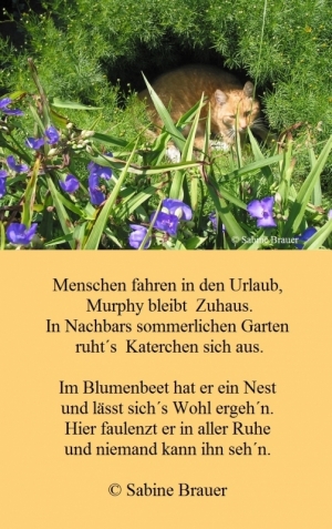 Vorschau Bildgedicht: Katerchens Sommerresidenz