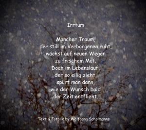 Vorschau Bildgedicht: Irrtum