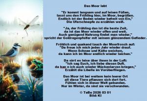 Vorschau Bildgedicht: Das Moor lebt