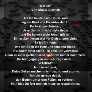 Vorschau Bildgedicht: Warum? 
