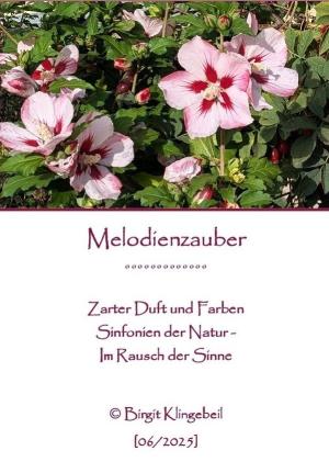 Vorschau Bildgedicht: Melodienzauber