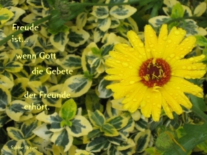 Vorschau Bildgedicht: Er hört