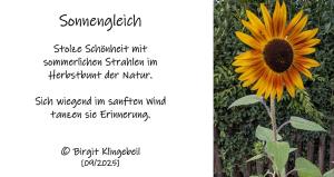 Vorschau Bildgedicht: Sonnengleich