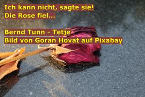 Vorschau Bildgedicht: Die Rose fiel...