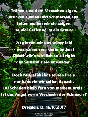 Vorschau Bildgedicht: Tränen