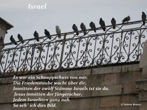 Vorschau Bildgedicht: Friedenstaube Israel