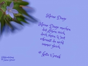 Vorschau Bildgedicht: Kleine Dinge  Gemeinschaftwerk Jutta Gornik Sabine Brauer