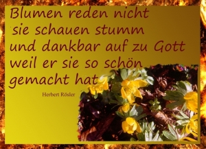 Vorschau Bildgedicht: Blumen blühen