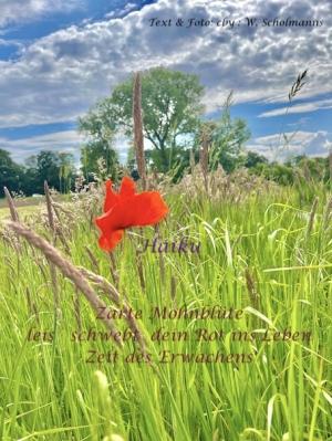 Vorschau Bildgedicht: Mohnblüte