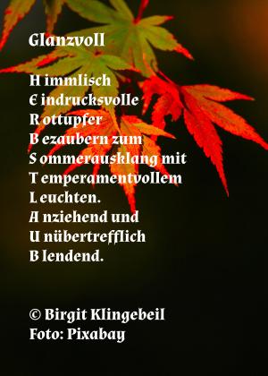 Vorschau Bildgedicht: Glanzvoll