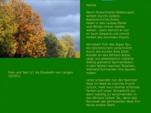 Vorschau Bildgedicht: Herbst