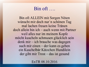 Vorschau Bildgedicht: Bin oft allein