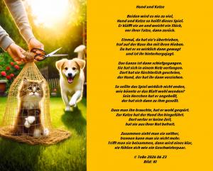 Vorschau Bildgedicht: Hund und Katze