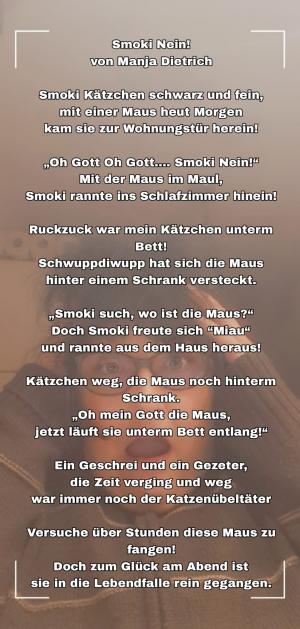 Vorschau Bildgedicht: Smoki Nein!