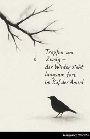 Vorschau Bildgedicht: Amsel