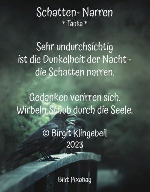 Vorschau Bildgedicht: Schatten- Narren