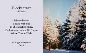Vorschau Bildgedicht: Flockentanz