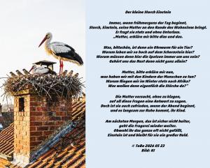 Vorschau Bildgedicht: Der kleine Storch Einstein