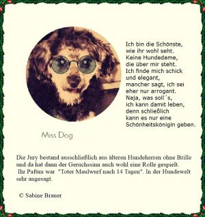 Vorschau Bildgedicht: Miss Dog