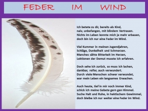 Vorschau Bildgedicht: Feder im Wind