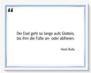 Vorschau Bildgedicht: "Der Esel"