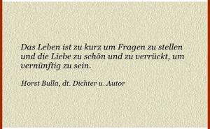 Vorschau Bildgedicht: Das Leben ist zu kurz um Fragen zu stellen