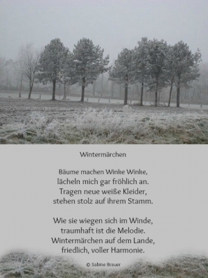 Vorschau Bildgedicht: Wintermärchen