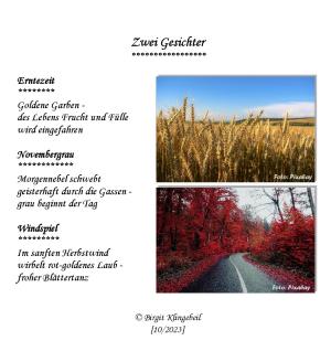 Vorschau Bildgedicht: Zwei Gesichter