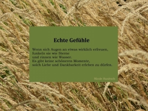 Vorschau Bildgedicht: Echte Gefühle