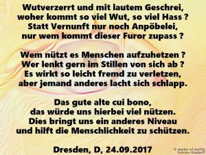 Vorschau Bildgedicht: Niveau