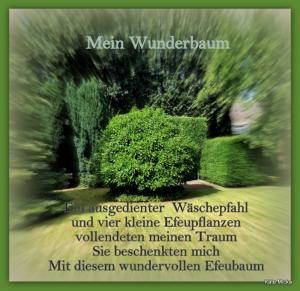 Vorschau Bildgedicht: Mein Wunderbaum
