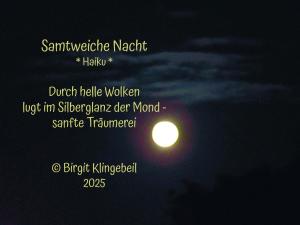 Vorschau Bildgedicht: Samtweiche Nacht