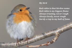 Vorschau Bildgedicht: Red Robin