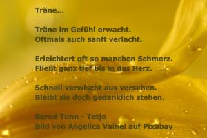 Vorschau Bildgedicht: Träne...