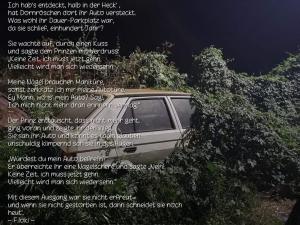 Vorschau Bildgedicht: Dornröschen, ich weiß wo dein Auto steht!