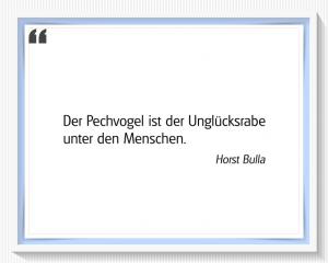 Vorschau Bildgedicht: "Der Unglücksrabe"