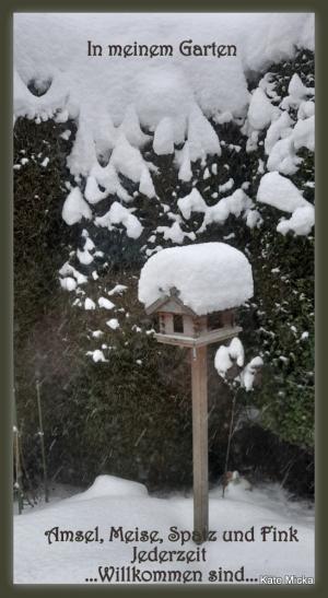 Vorschau Bildgedicht: In meinem Garten