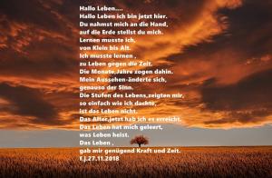 Vorschau Bildgedicht: Hallo Leben