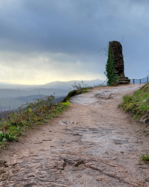 Profilfoto von Lars Abel