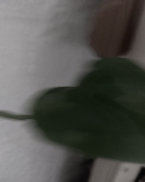 Profilfoto von A