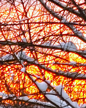 Profilfoto von Jesse lee