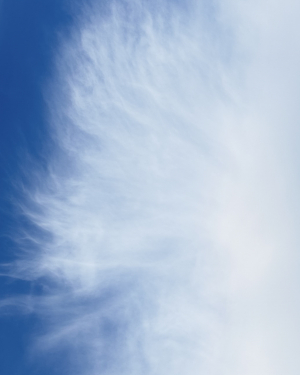 Profilfoto von gutso